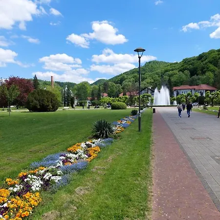 Aleks Sobe Gæstehus Banja Koviljača