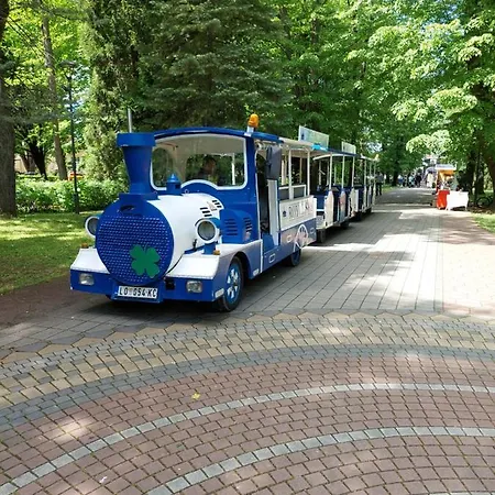 Aleks Sobe Banja Koviljaca